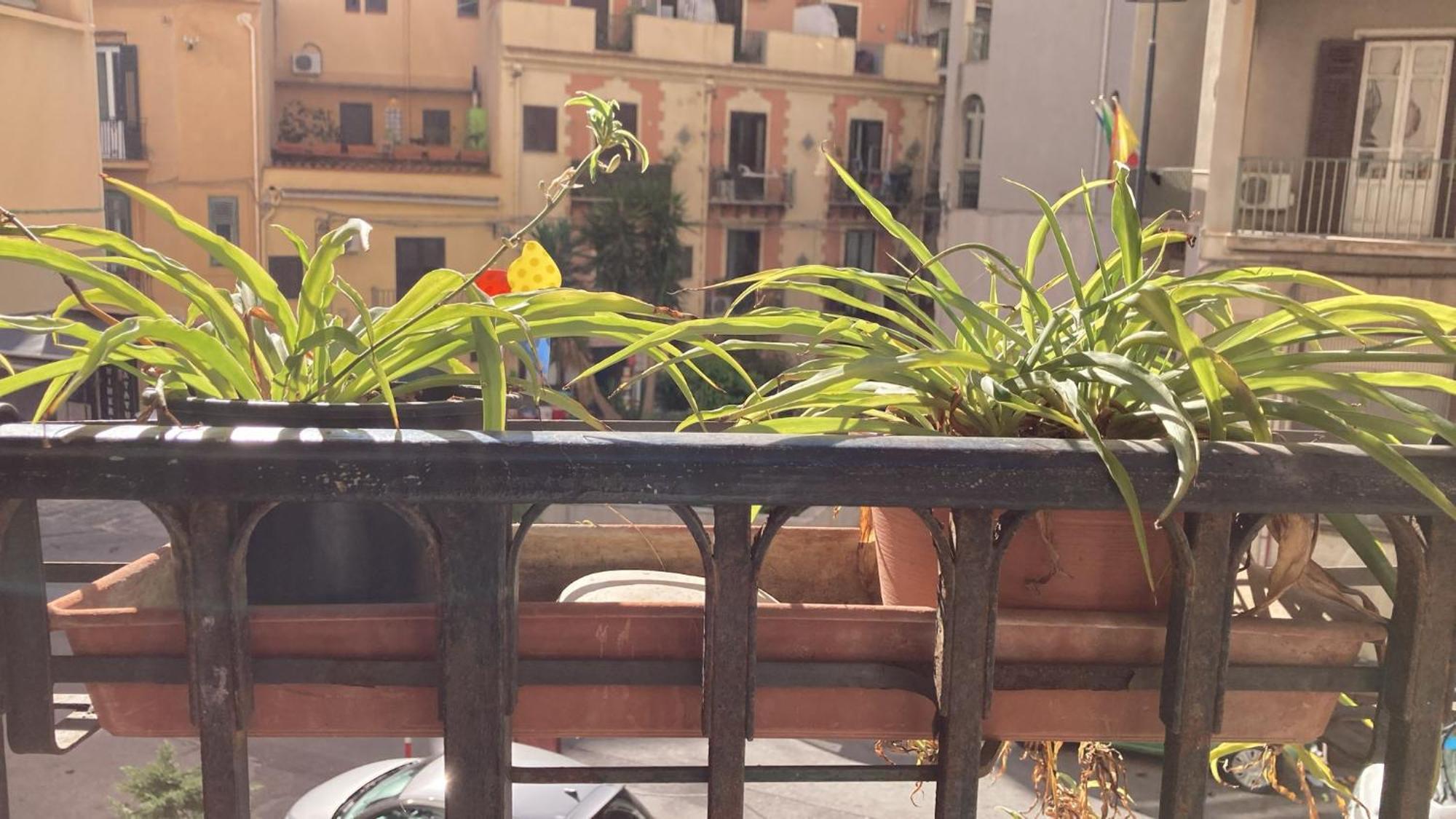 Apartmán Casa Empedocle Palermo Exteriér fotografie